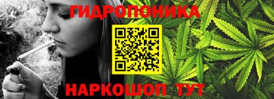 твердый Новозыбков