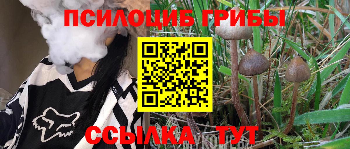 Галлюциногенные грибы Cubensis  Псилоцибиновые грибы Psilocybine cubensis  Вход с VPN  Урюпинск 