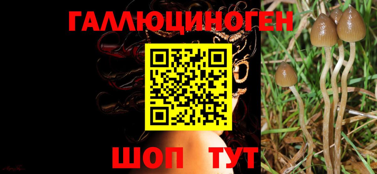 Кокаин Урюпинск